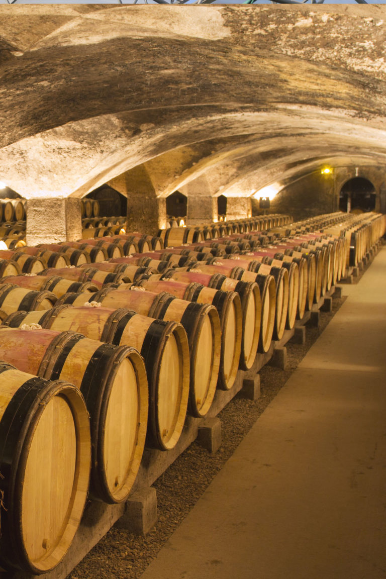 Viticulture