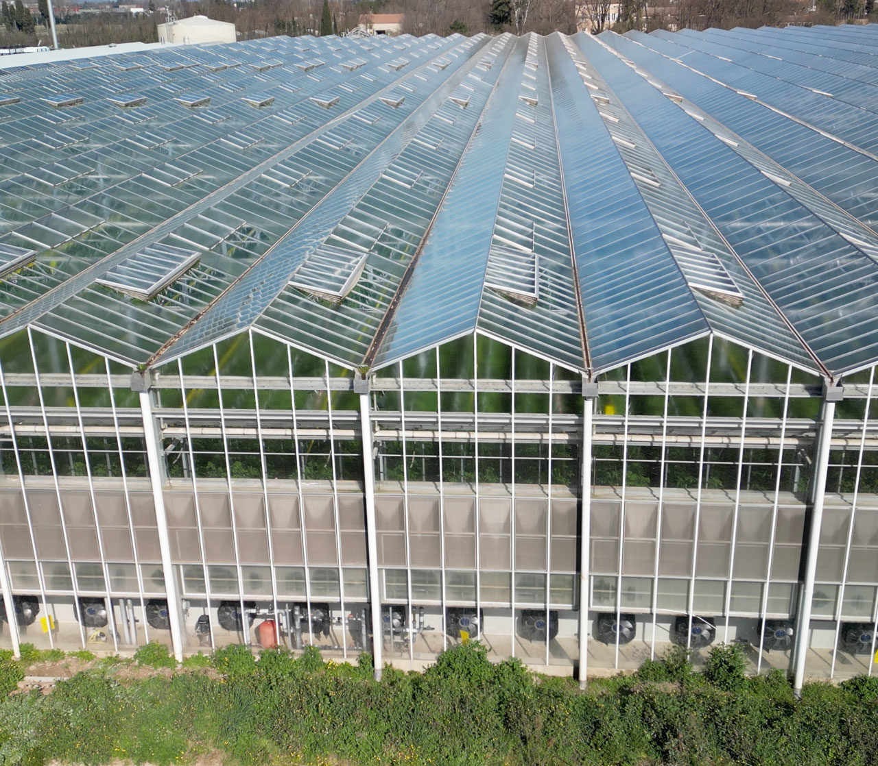 Chantier froid agroalimentaire | Climatisation JPL Tomidi – Picquette