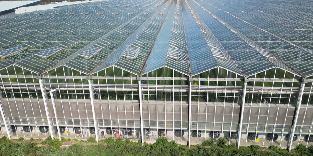 Chantier froid agroalimentaire | Climatisation JPL Tomidi – Picquette