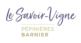 https://picquette.com/wp-content/uploads/2025/05/pepiniere-barnier.png